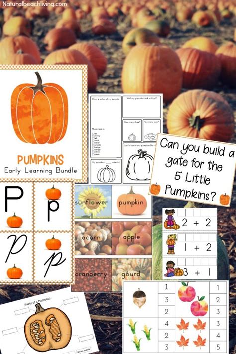 Best Kindergarten And Preschool Pumpkin Theme Lesson Plan Natural
