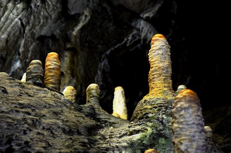 In Pictures Stalagtites Stalagmites And Hidden Creatures Of Pooles
