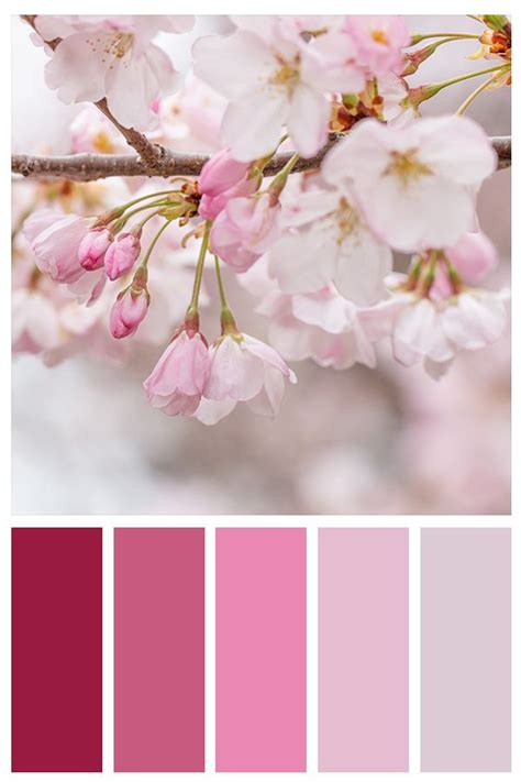 Pin On Color Inspiration