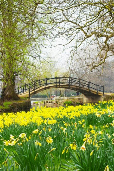 13 Best Things To Do In England In Spring 2023 Guide