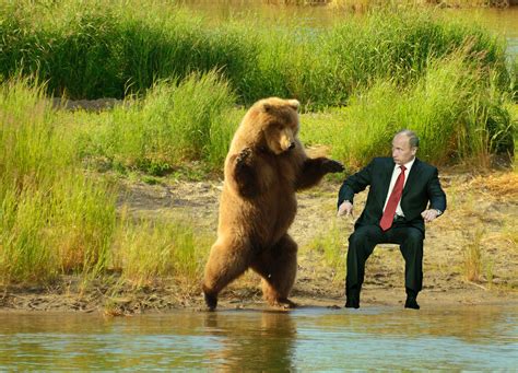 Putin Bear Wrestling