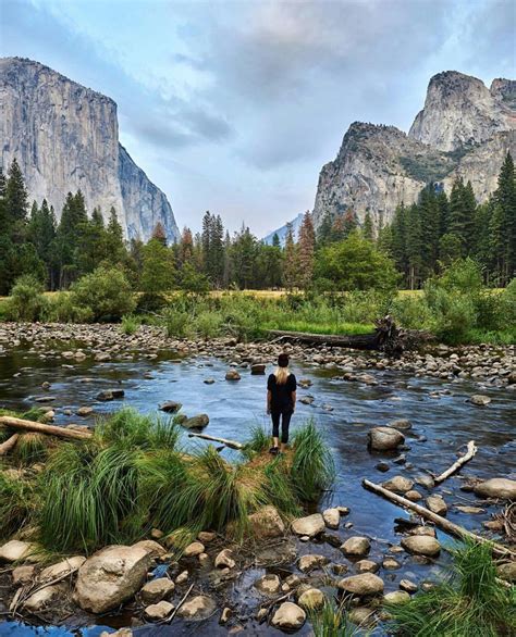 Yosemite National Park | Most visited national parks, National parks, Yosemite national park