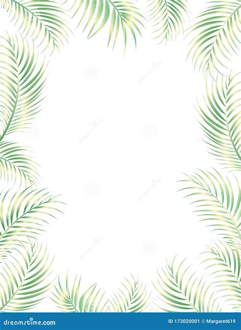 palm tree tropical border for summer projects stock vector illustration of background