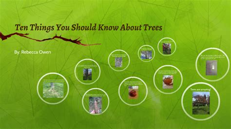 Ten Things You Should Know About Trees By