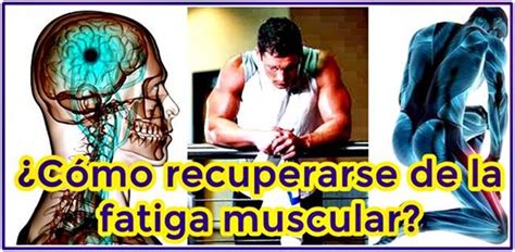 Qu Hacer Para Recuperarse De La Fatiga Muscular