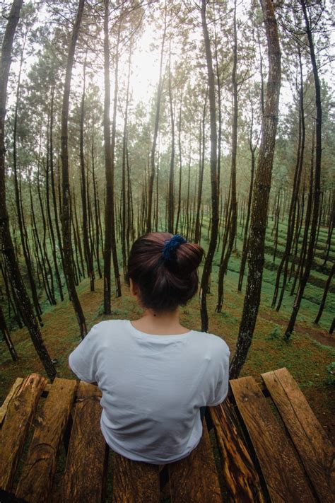 Wallpaper Id Land Alone Leisure Activity Hairstyle Girl Noface Forest Green