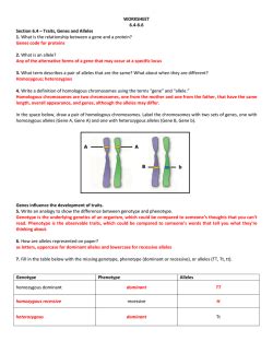 In order to prove your hypothesis correct you have to test it. 14.1 Human Chromosomes Answer Key Pdf + My PDF Collection 2021