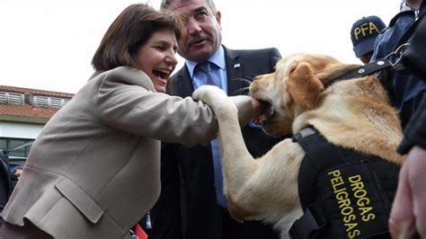 Posicionarse en 2020 como la figura más intransigente de juntos por el cambio, convertirse en. ¿Por qué no fue Bullrich a dar explicaciones al Congreso ...