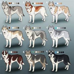 In Addition To The Splendid Variety Of Coat Colors Available Siberian