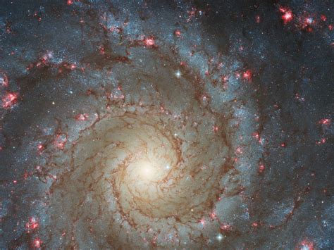 Hubble Image Captures Stars Forming In A Far Off Phantom Galaxy