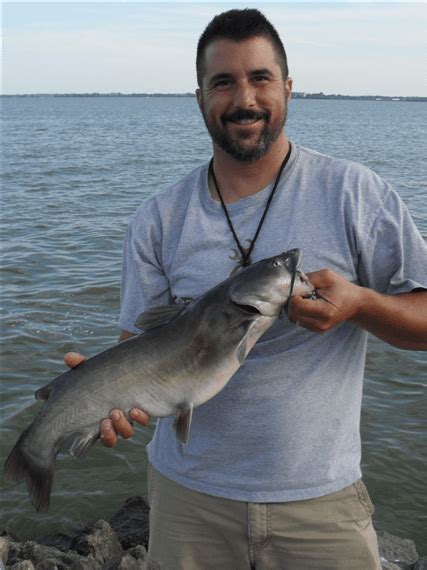 15 Best Catfish Fishing Rivers And Lakes In Ohio Best Fishing In America