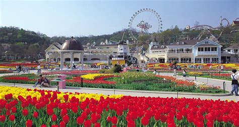 I recently popped over to the theme park courtesy of trazy's everland discount ticket during my last week in seoul. Everland Theme Park | live your passion...