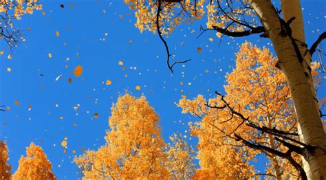 Why The Sky Looks Bluer In Autumn The Weather Gamut