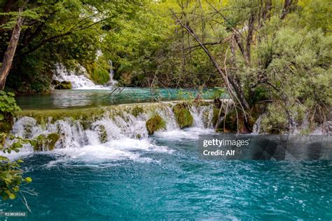 Trunk Fallen In Plitvice Lakes National Park Likasenj County Karlovac