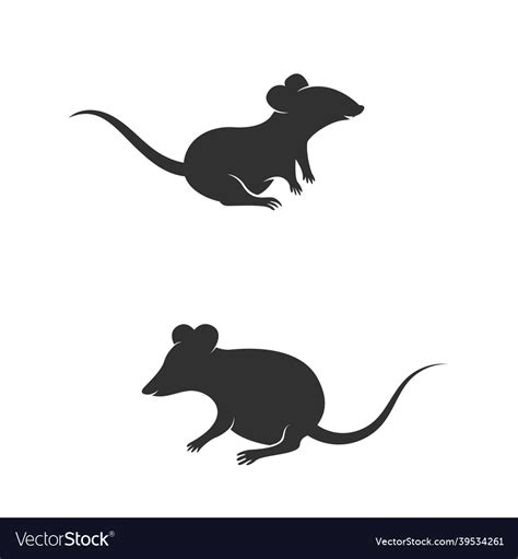 Rat Cute Icon Design Royalty Free Vector Image