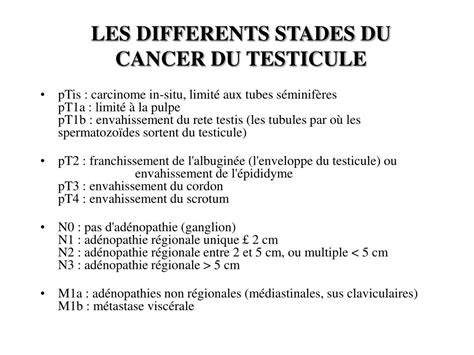 Ppt Cancer Du Testicule Powerpoint Presentation Free Download Id644577