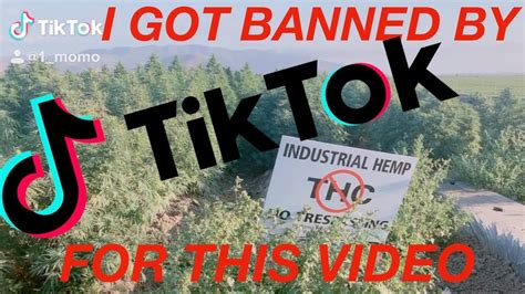 TIK TOK BANNED ME (BECAUSE OF THIS VIDEO) - YouTube
