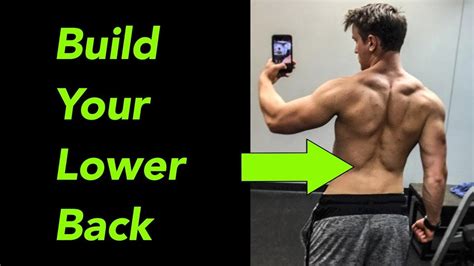 Top 5 Exercises For Lower Back At Gym And Home Fit And Slim Videos