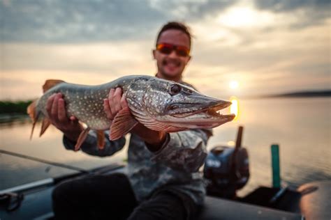 10 Best Pike Lures For 2022