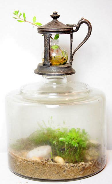 Maybe you would like to learn more about one of these? fountain of youth... | Moss terrarium, Bottles and jars ...
