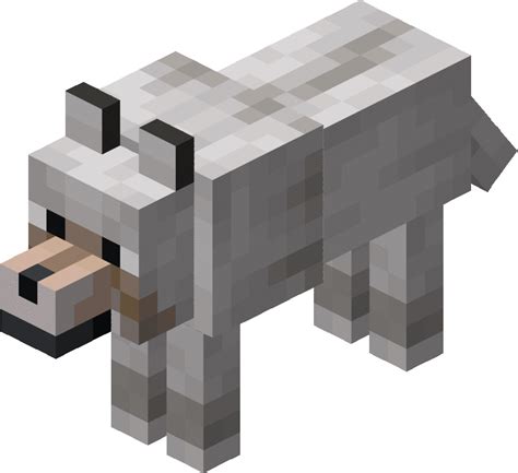 Axolotl are new to minecraft and players are wondering if they can be tamed. Wolf | Minecraft Wiki | FANDOM powered by Wikia