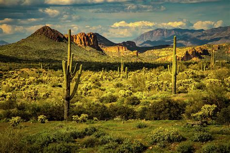 Lost Dutchman Sunset Photograph By Rolf Jacobson Fine Art America