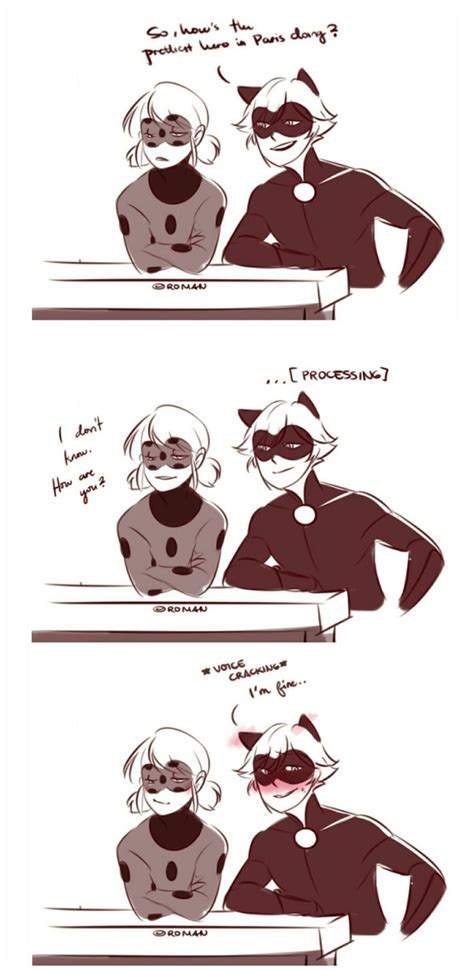 Pin By Kendall Frailey On Miraculous Ladybug Miraculous Ladybug Funny Miraculous Ladybug