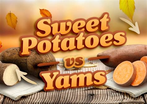 Sweet Potato Vs Yam Are They The Same Thing 11868 Hot Sex Picture
