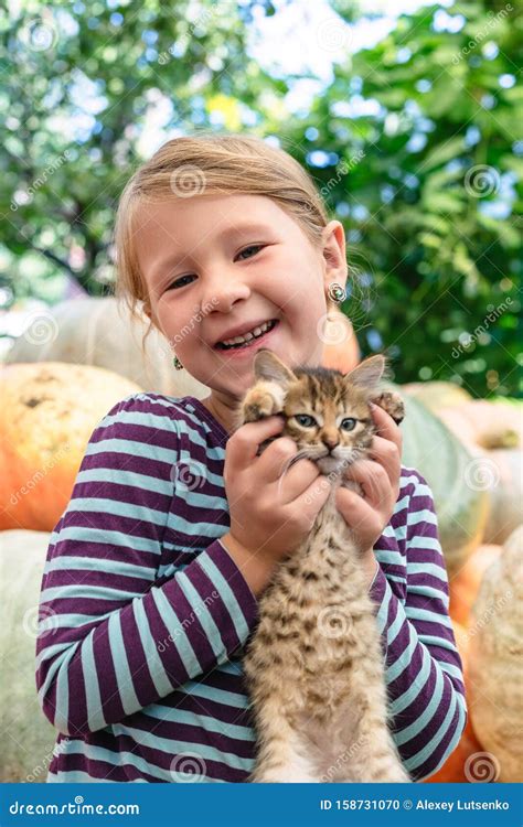 Cute Little Girl With Kitten Stock Photo Image Of Domestic