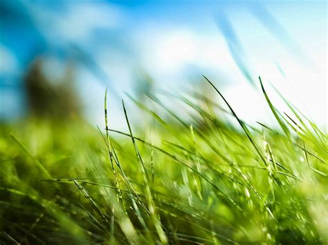 Use it on your phone, desktop or website. Cool Nature Wallpapers Hd - WallpaperSafari