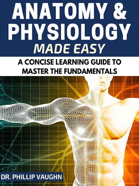 Anatomy And Physiology Anatomy And Physiology Made Easy A Concise