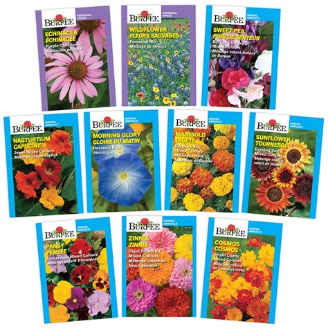 Burpee Mixed Flower Seed Collection 10 Pack The Home Depot Canada