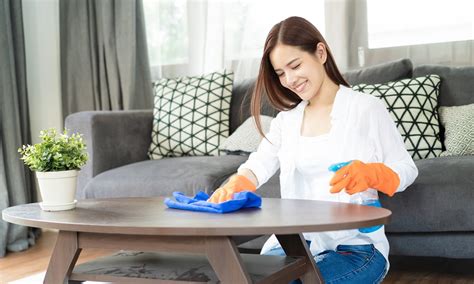 House cleaning services are one of the most effective services in bangalore. Cleaners & House cleaning services in the Netherlands
