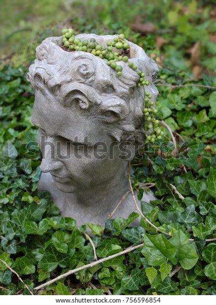 Grecian Head Planter Sitting Ivy Pearl Stock Photo Edit Now 756596854