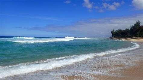 Sunset Beach Park Haleiwa All You Need To Know Before You Go