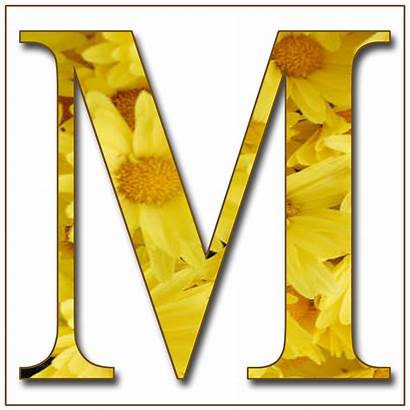 Scrapbook Yellow Alphabet Flowers Letters Letter Capital