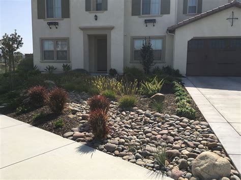 A Residential Front Yard Landscape With Low Water Plants And Grasses As