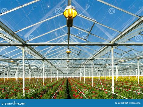 Commercial Greenhouse Stock Image Image Of Controlled 33170859