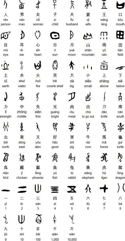 Some Examples Of Oracle Bone Characters Jiaguwen Chinese Words