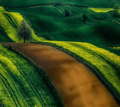 Sunlight Landscape Hill Nature Grass Field Green Valley Leaf