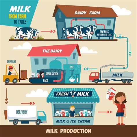 Milk Production Stages Stock Vector Illustration Of Illustration