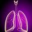 Cancer Health Basics Lung 