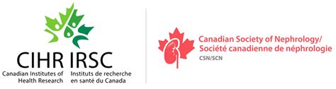 Cihr Csn Sex And Gender Based Analysis Sgba Trainee Abstract Award Csnscn