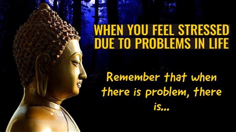 Full 4k Buddha Quotes Images Collection Top 999 Inspiring Buddha