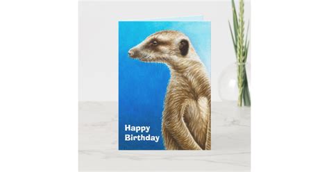 Meerkat Birthday Card Zazzle