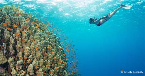 Top 5 Oahu Snorkel Spots Best Places To Snorkel On Oahu
