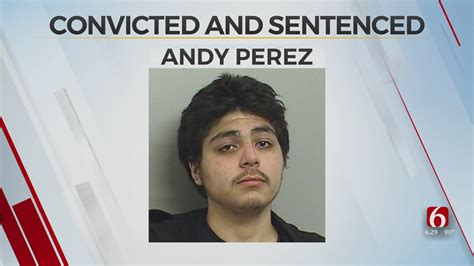 Man Convicted Sentenced For Beating His Mother With Hammer