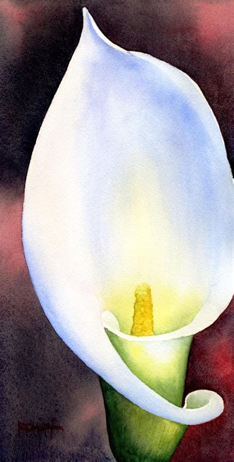 Calla Lily Art Tutor Kleurrijke Bloemen Bloemen Irissen