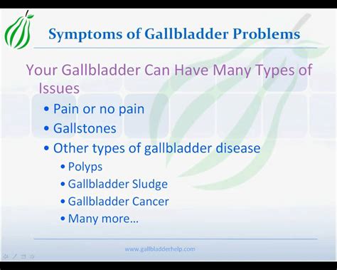 Symptoms Of Gallbladder Issues Qustwallstreet