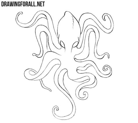 It is easy to use. How to Draw Kraken Easy | Drawingforall.net